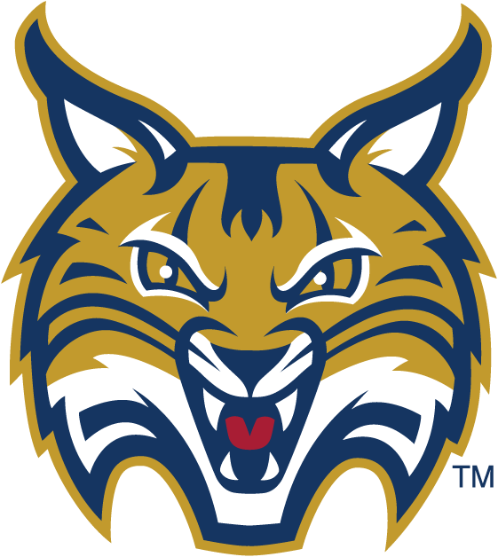 Quinnipiac Bobcats 2002-Pres Secondary Logo iron on transfers for T-shirts